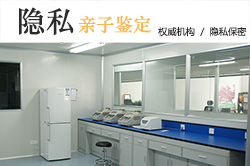 怀化亲子鉴定检测服务机构怎样预约,怀化DNA鉴定如何办理 怀化亲子鉴定检测服务机构怎样预约,怀化DNA鉴定如何办理