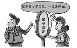 怀化亲子鉴定检测服务机构如何办理,怀化亲子鉴定机构电话地址 怀化亲子鉴定检测服务机构如何办理,怀化亲子鉴定机构电话地址
