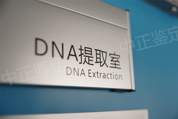 怀孕期间怀化如何做胎儿亲子鉴定,怀化办理产前亲子鉴定结果会不会有问题